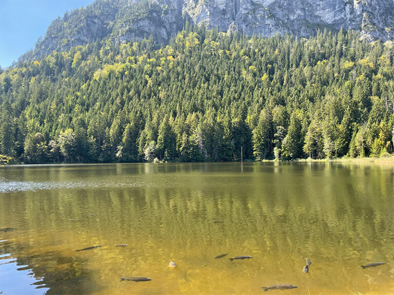 Garmisch Expedition Mallorca Pflegersee 04 1 768x576