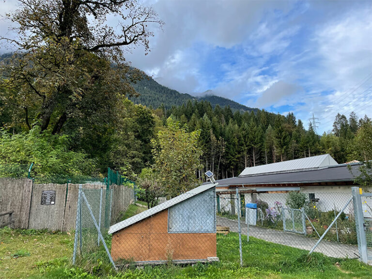 Garmisch Expedition Mallorca Tierheim 01 2 768x576