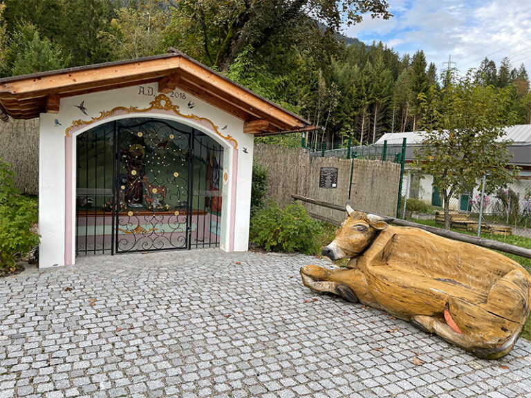 Garmisch Expedition Mallorca Tierheim 02 2 768x576