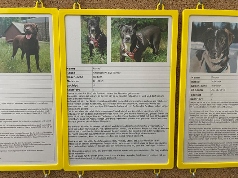 Garmisch Expedition Mallorca Tierheim 10 2 768x576