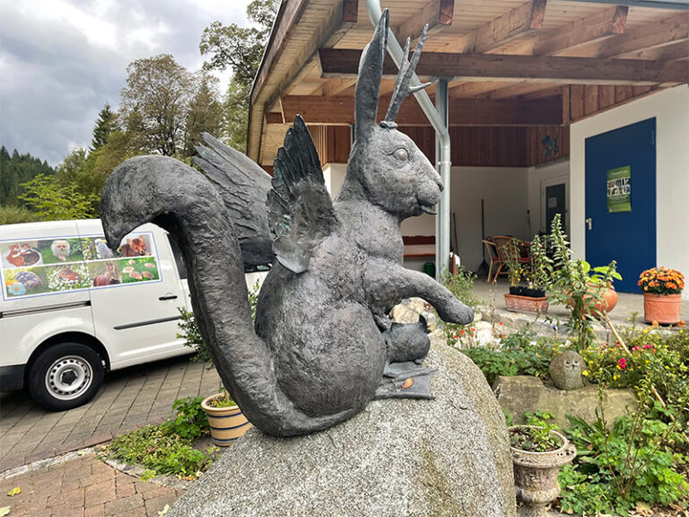 Garmisch Expedition Mallorca Tierheim 13 2 768x576