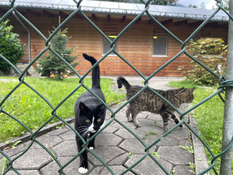 Garmisch Expedition Mallorca Tierheim 14 2 768x576